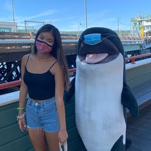 Meet your Posher, Lucy